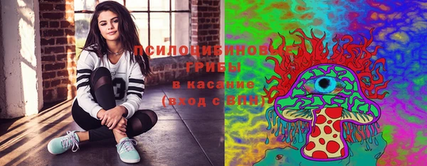 PSILOCYBIN Кодинск
